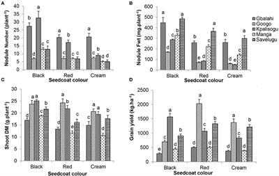 Black Seedcoat Pigmentation Is a Marker for Enhanced Nodulation and N2 Fixation in Bambara Groundnut (Vigna Subterranea L. Verdc.) Landraces